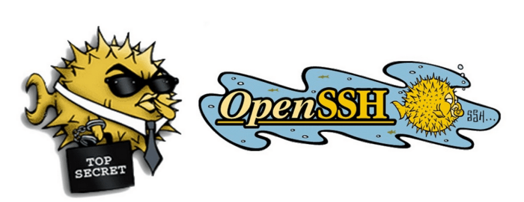 OpenSSH 9.8 corrige dos vulnerabilidades, dice adiós a DSA, implementa mejoras y&nbsp;mas