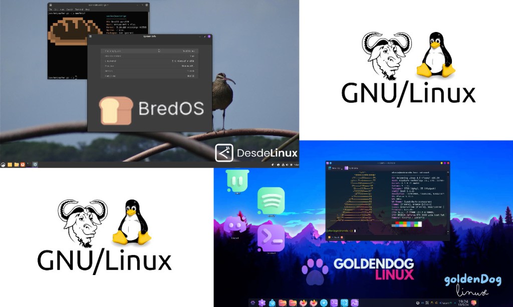 Top nuevas Distros GNU/Linux a ser reconocidas: 2024 – Parte 13